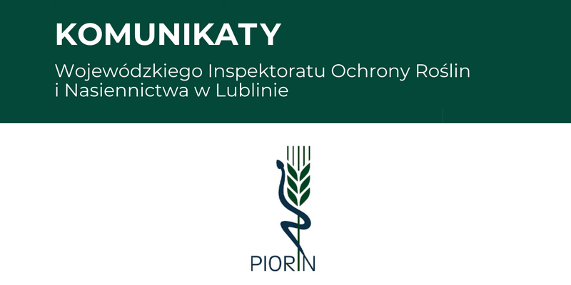 grafika z napisami i logo piorin