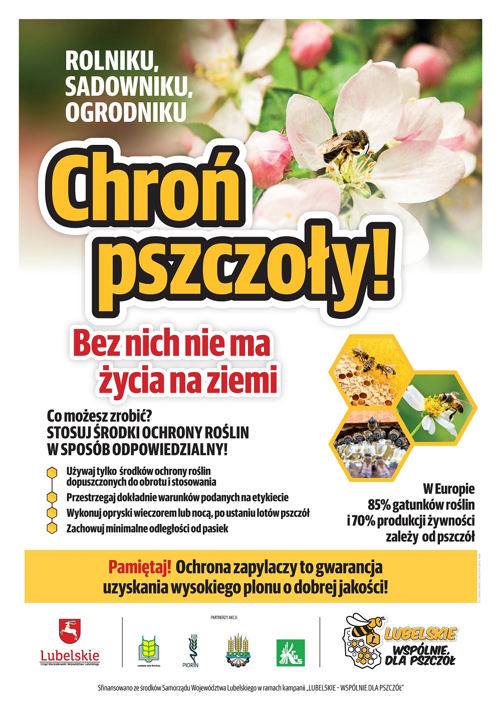 Chroń pszczoły! - plakat
