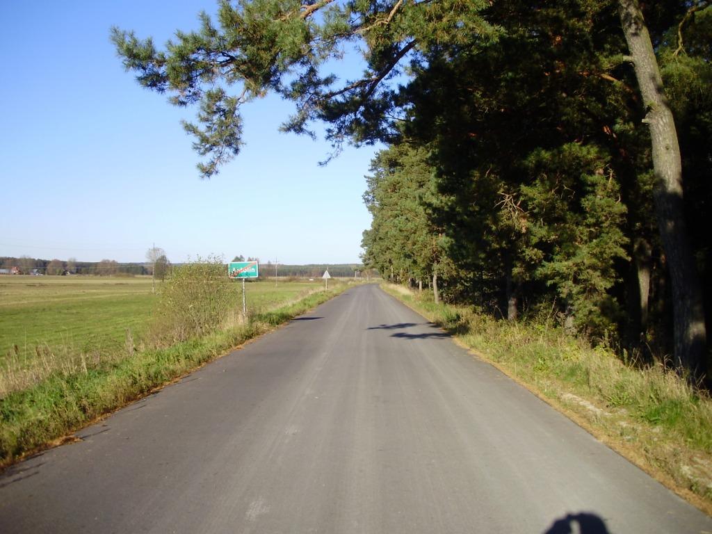 Droga asfaltowa na skraju lasu